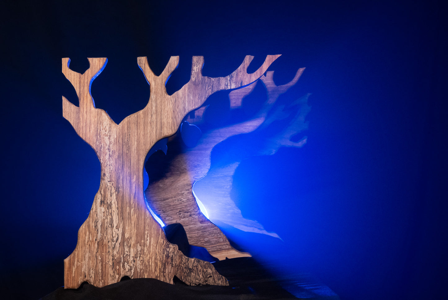 The Forest Set Template