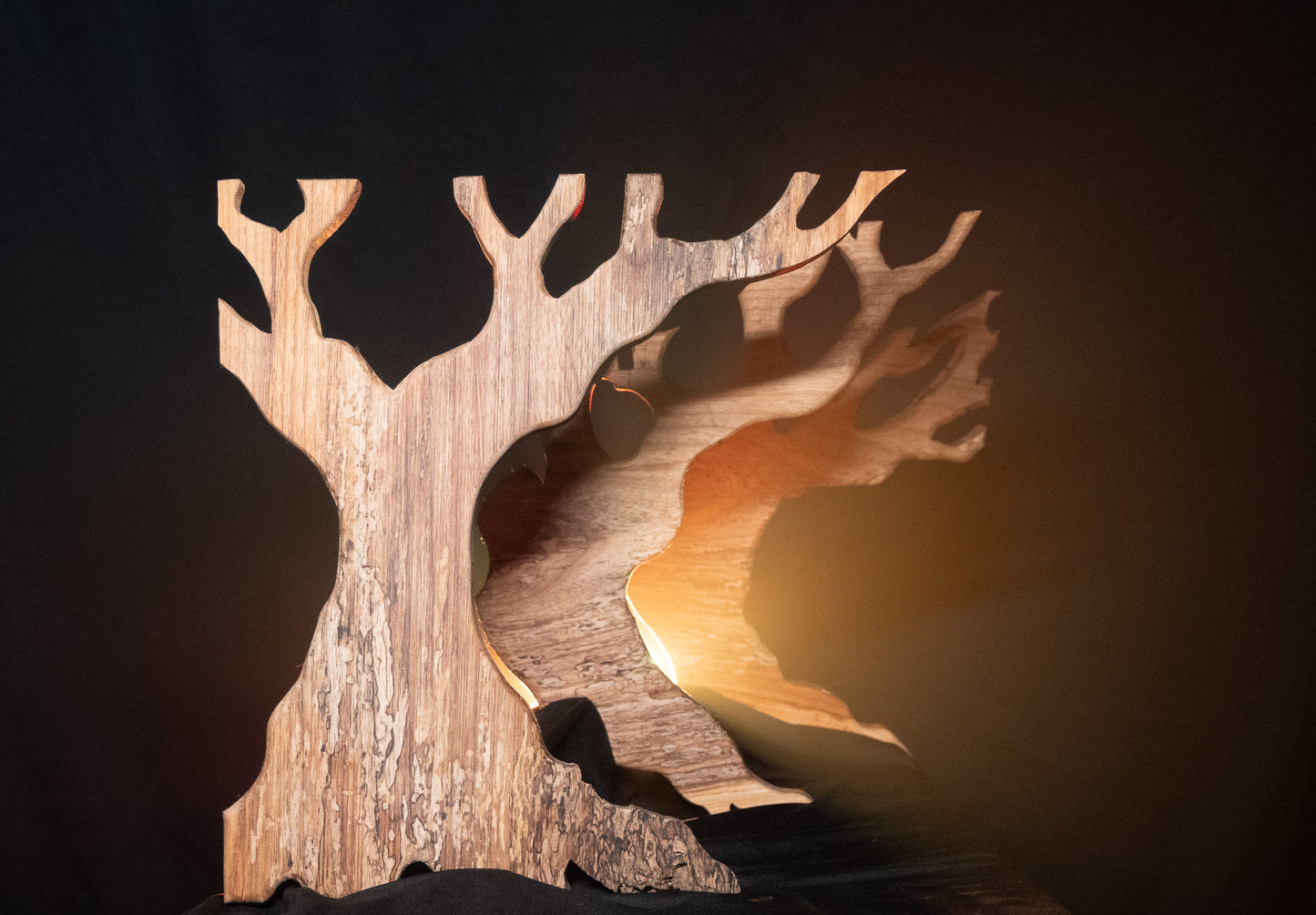 The Forest Set Template