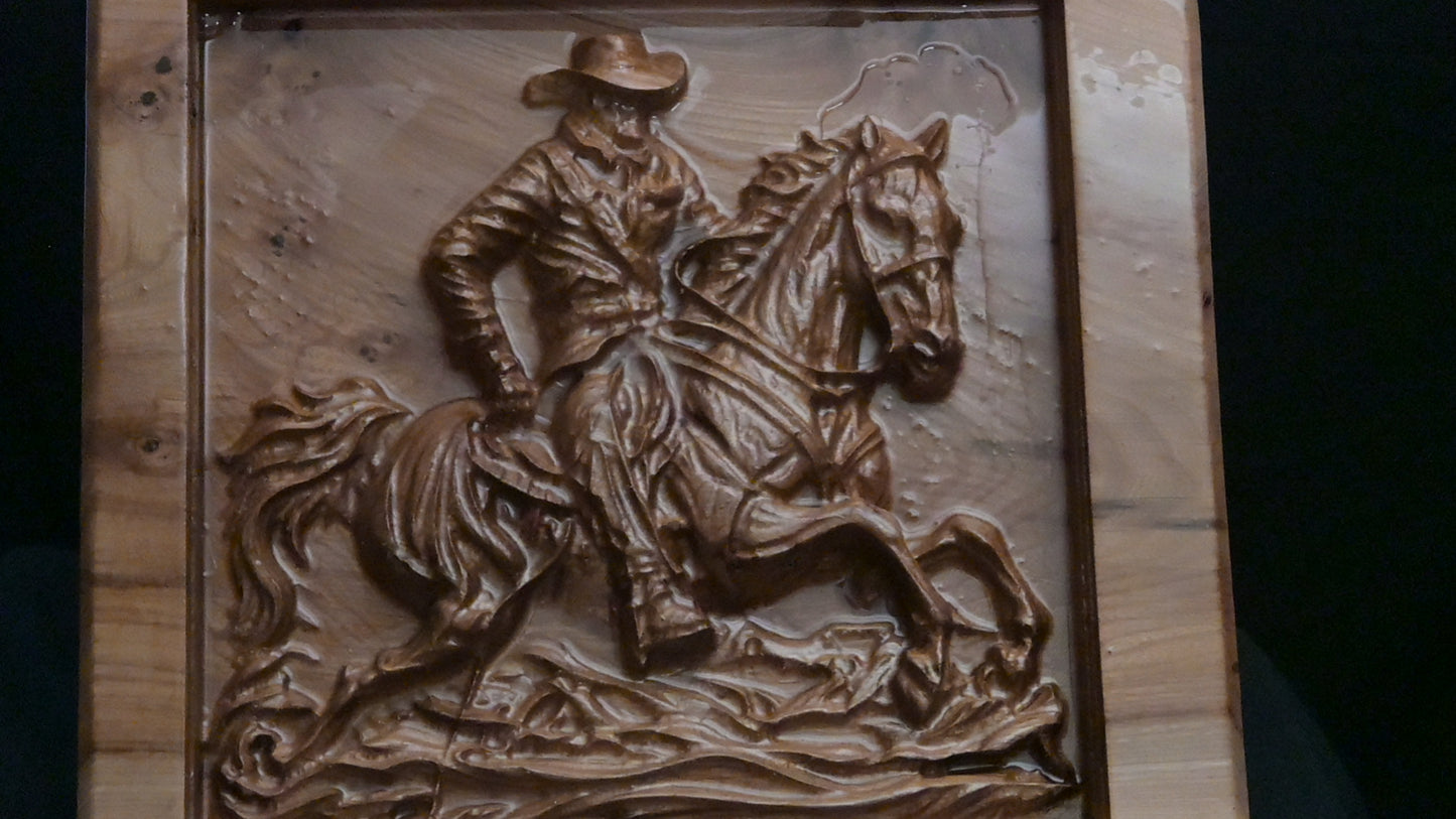 Rider of the Open Range