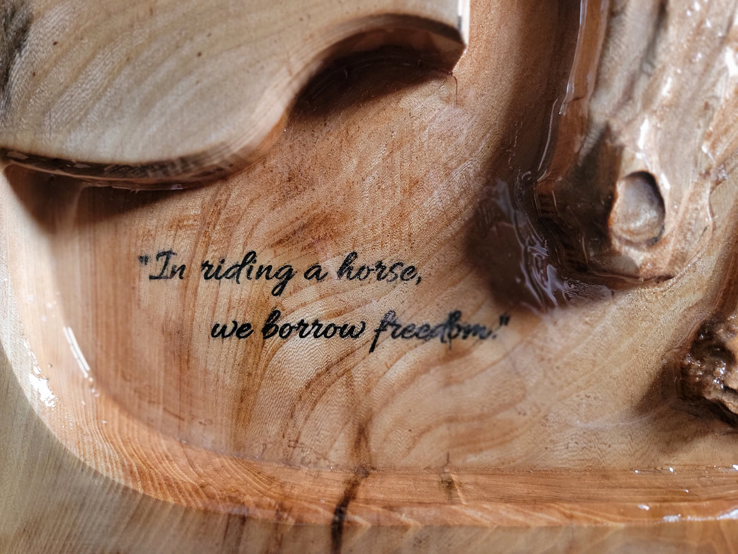 “Borrowed Freedom”