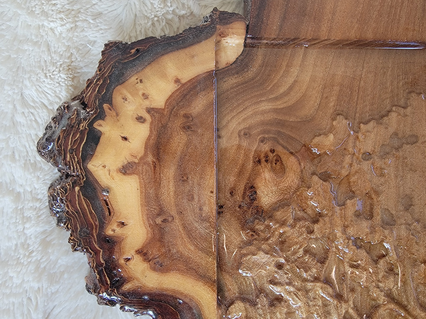 Roots of Balance: Live Edge Tree of Life in Natural Hardwood