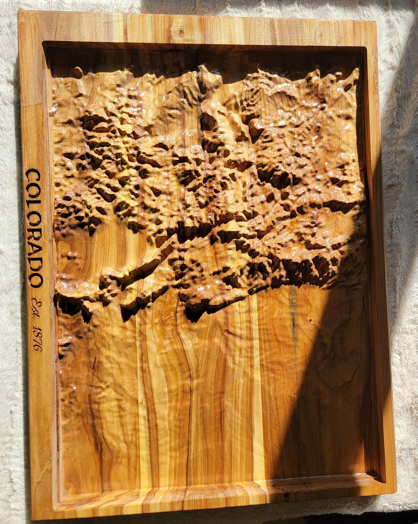 Colorado Relief: Carved Elm Topographical Map