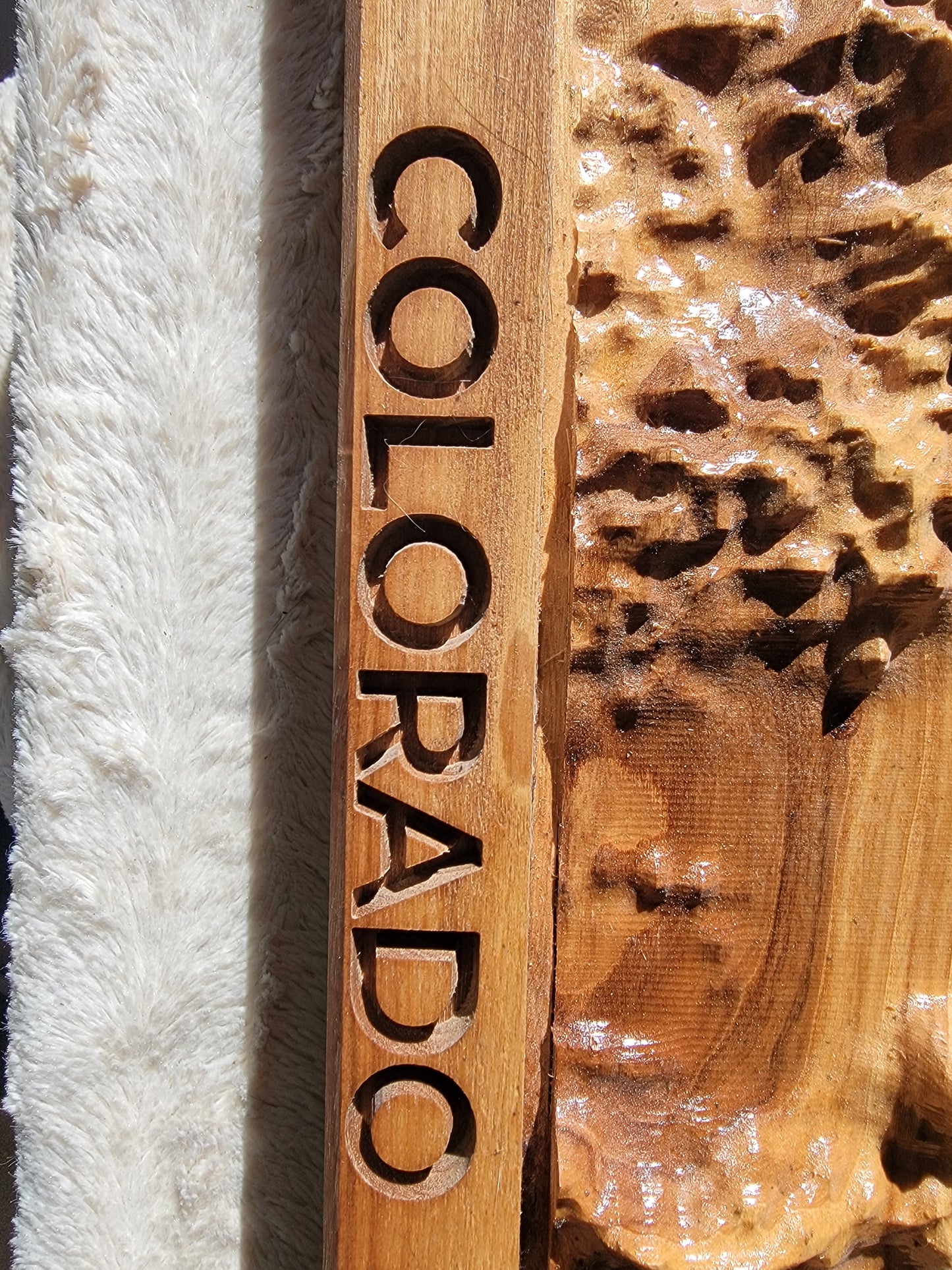 Colorado Relief: Carved Elm Topographical Map