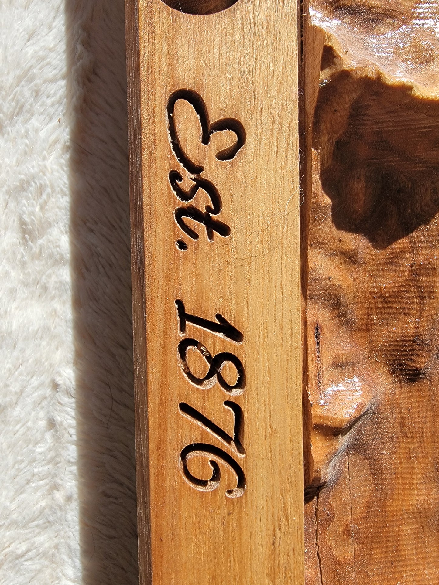 Colorado Relief: Carved Elm Topographical Map