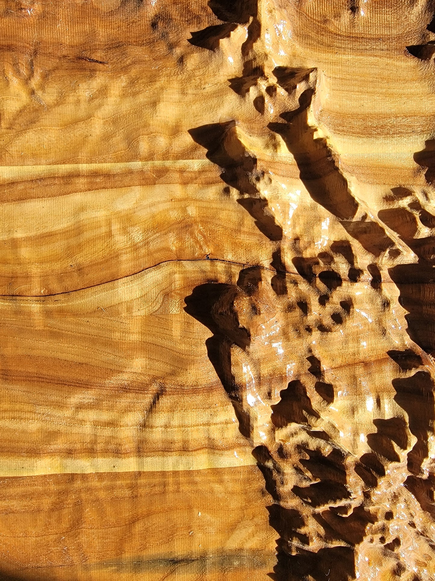 Colorado Relief: Carved Elm Topographical Map