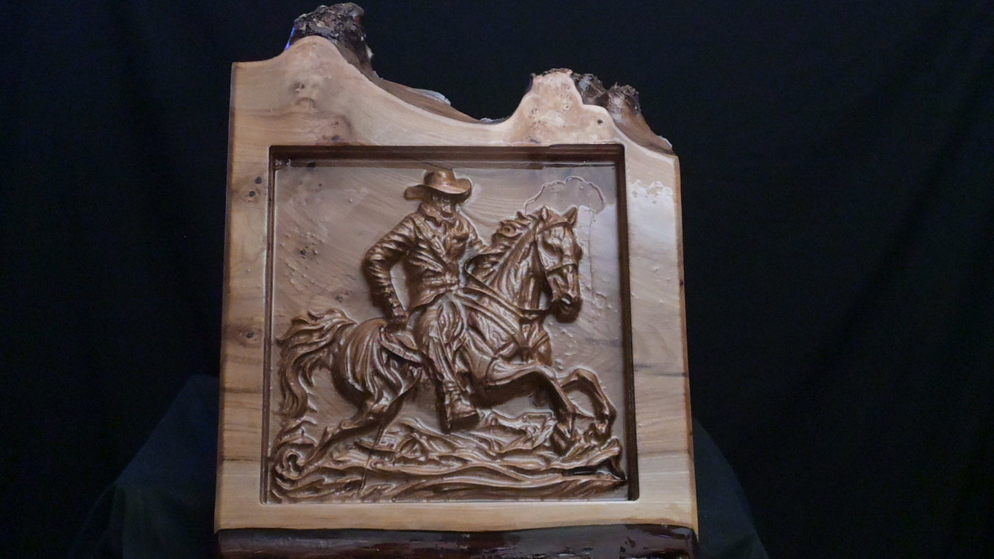 Rider of the Open Range